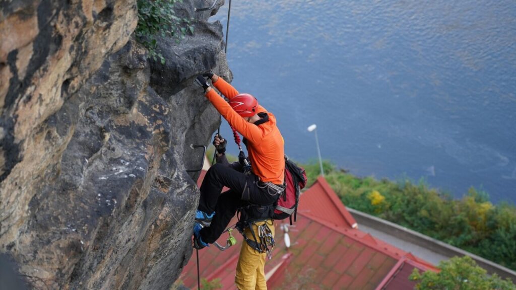 Télécharger le contrat collectif assurance vie en PDF gratuit