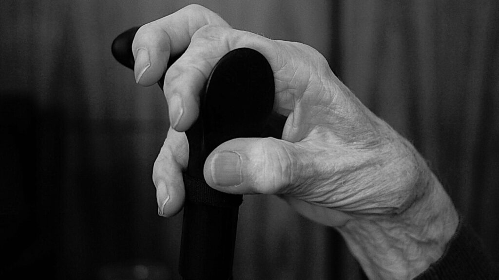 Contrat pour les seniors à télécharger en PDF gratuit