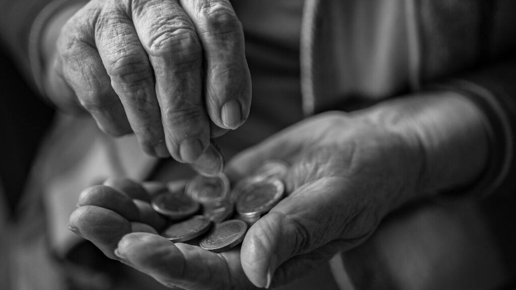 Contrat demi pension cheval - modèle de contrat à télécharger en PDF